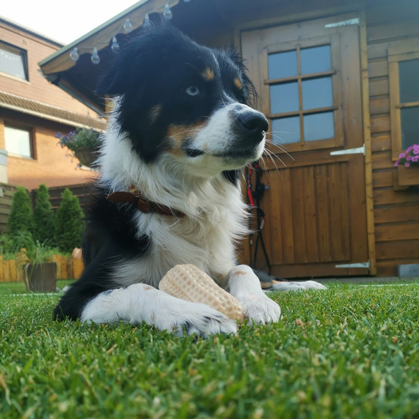 Display TPR Toy "Peanut"