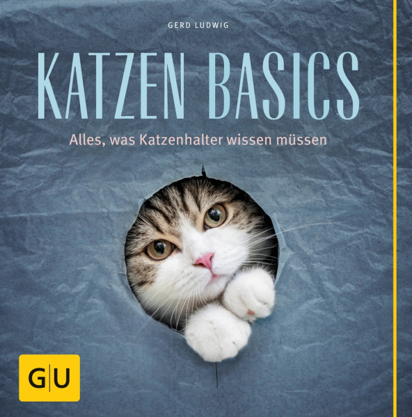 Katzen Basics