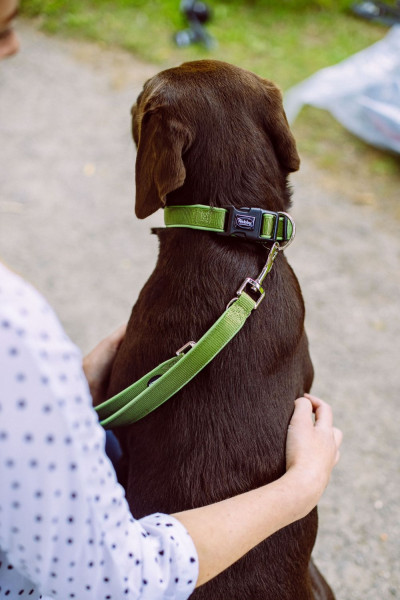 Collar "Classic Preno"