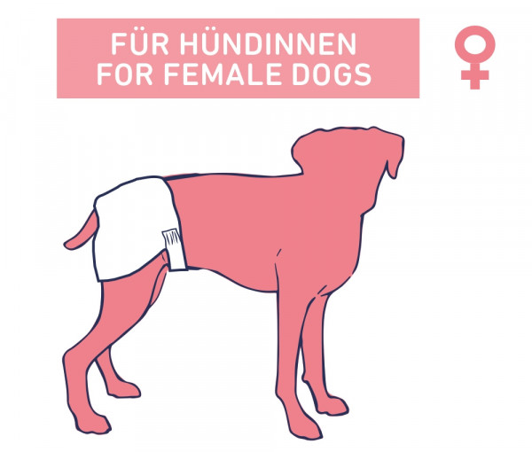 Diapers f. female dogs
