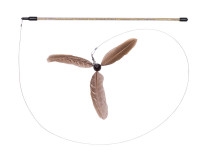 Angel "Wirbelwind" Angel "Wirbelwind"