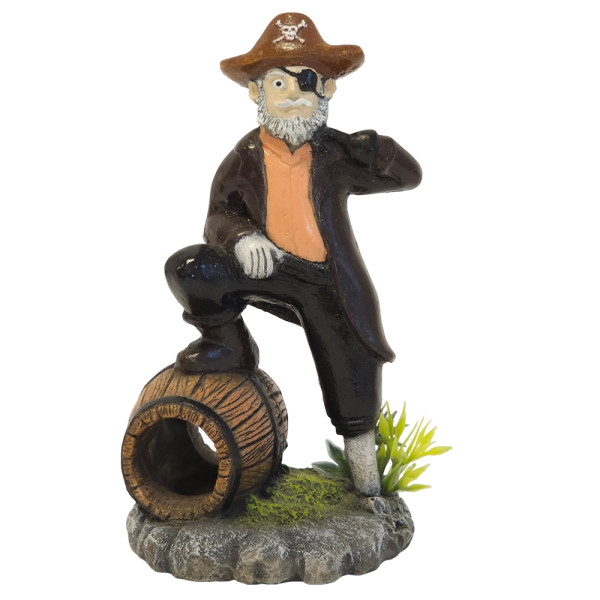 Aqua Ornaments "PIRAT" mit Pflanzen