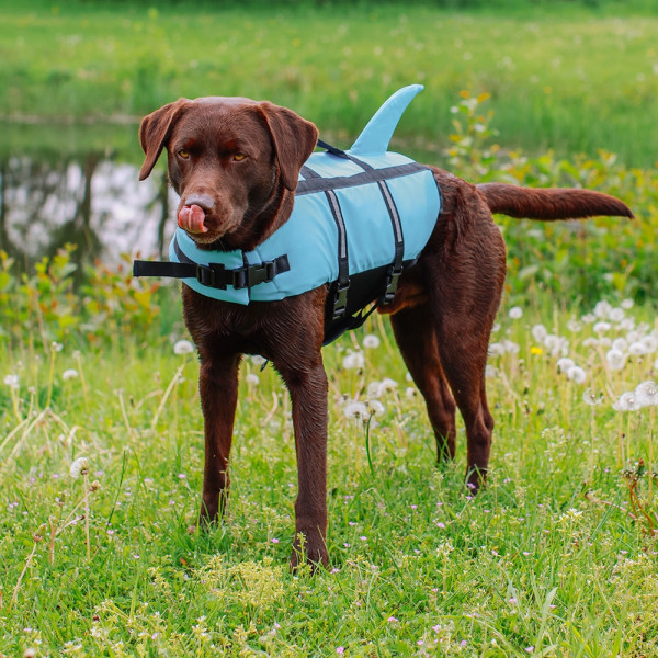 Schwimmhilfe "Sharki"