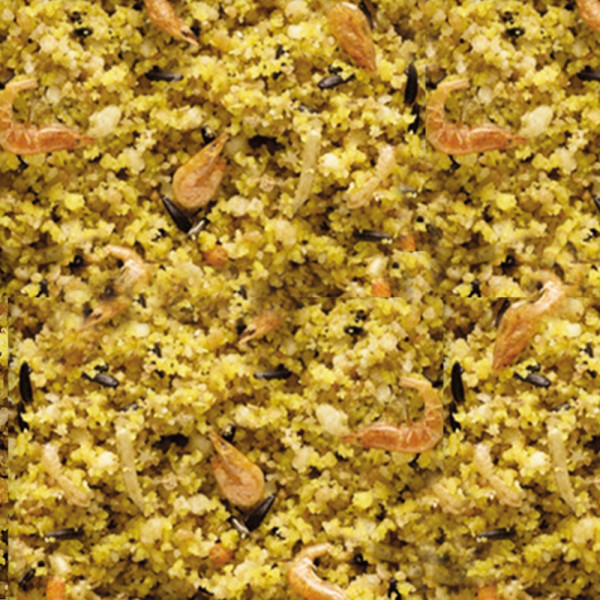 NutriBird Gold patee Exoten