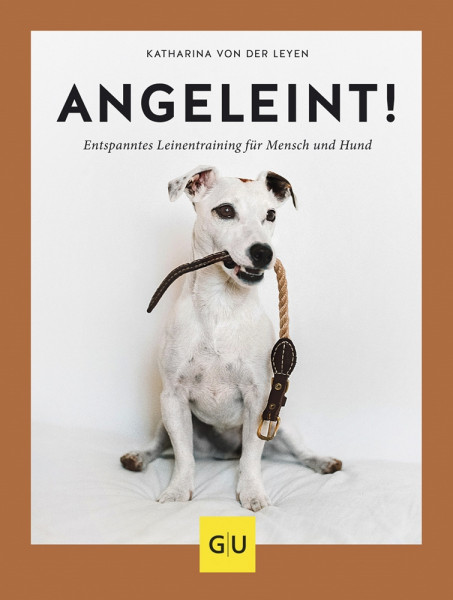 GU Angeleint!