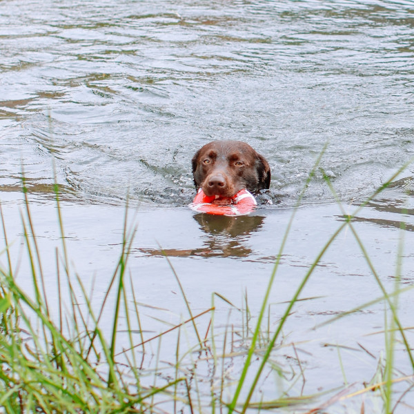 TPR lifebuoy with rope
