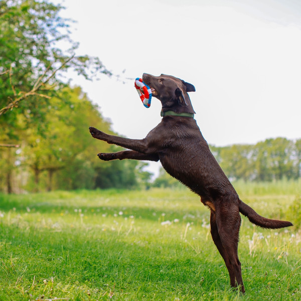 Floating toy with rope