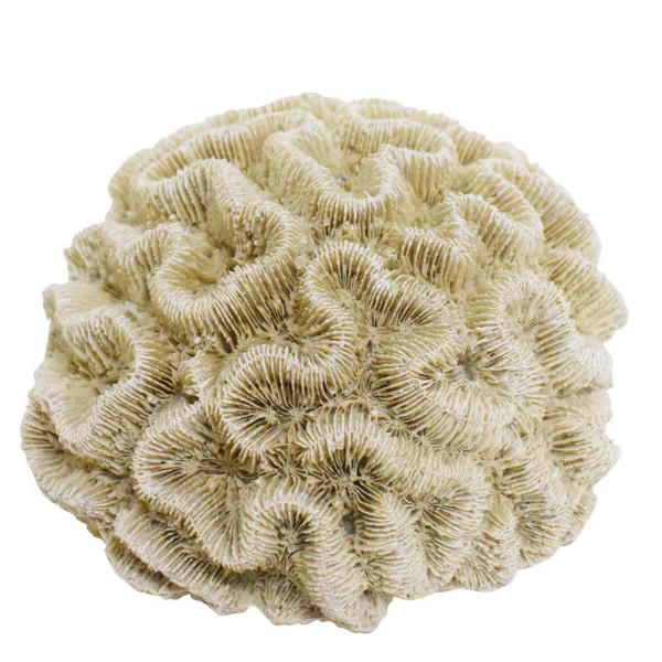 Aqua Ornaments "Koralle"