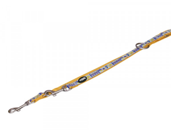 Training leash "Style"