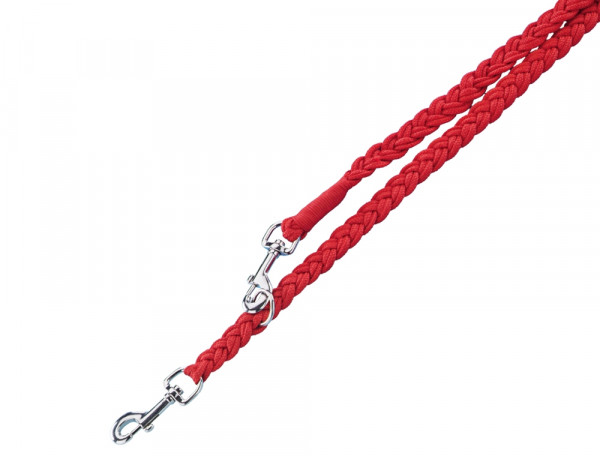 Training leash, plaited