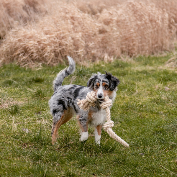 Spielseil "Sisal-Cotton-Mix"