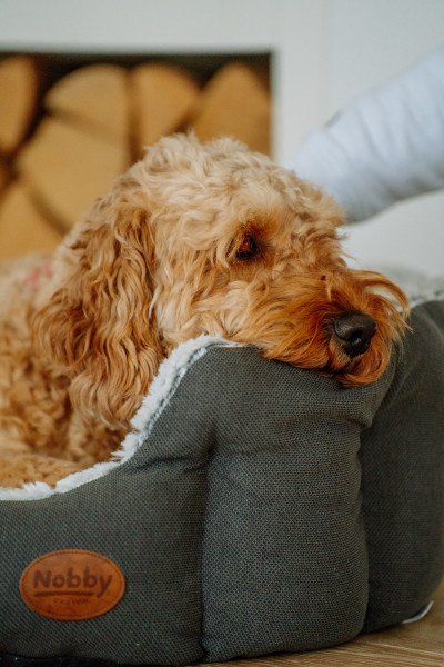 Comfort bed oval "CACHO"