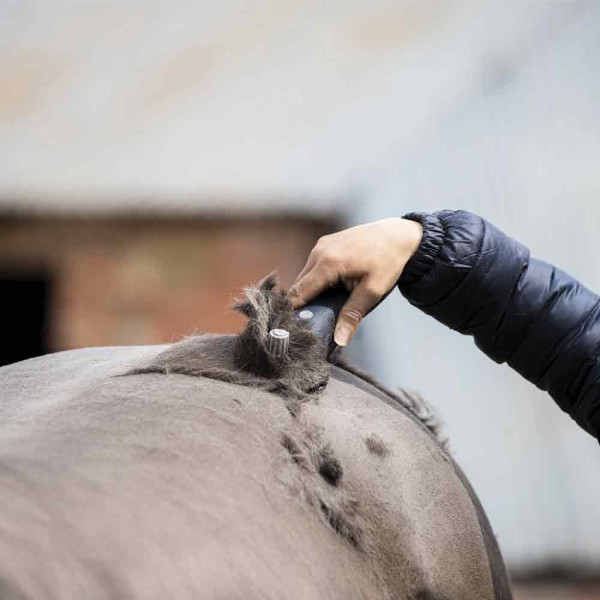 "Eclipse"Schneidemaschine