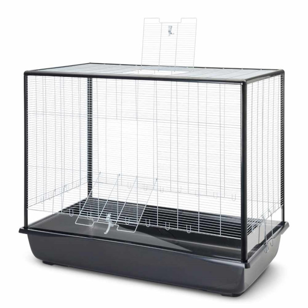 Nagerheim "Argus 120 Plexi"