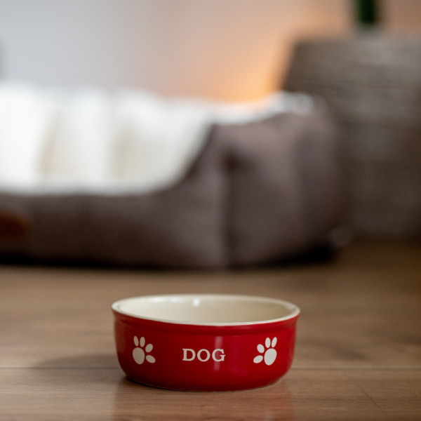 Dog ceramic bowl "DOG"