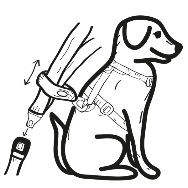 Anschnallschlaufe und Kurzführer