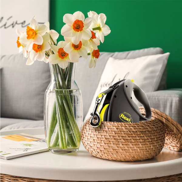 flexi Giant L Professional 10 m