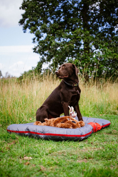 Kissen Classic "RENO"