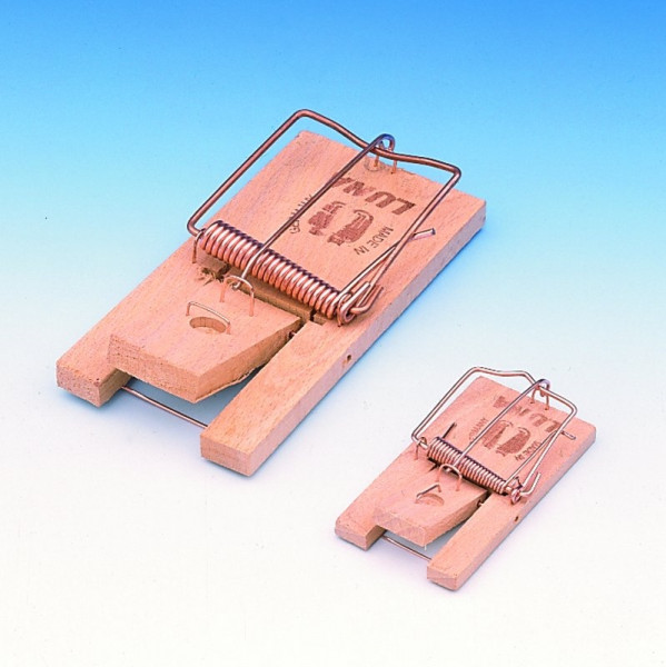 Luna mouse trap
