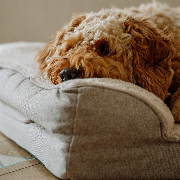 Orthopädisches Sofa eckig "CALBU"