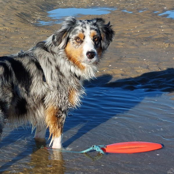 TPR Lifeboard mit Seil