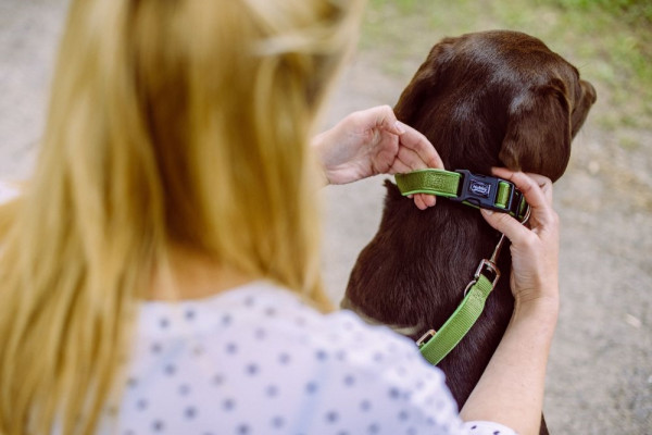 Collar "Classic Preno"