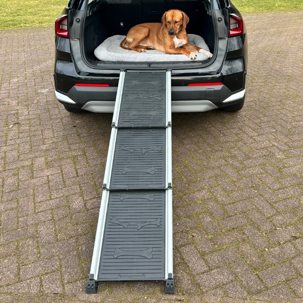 aluminium telescope ramp