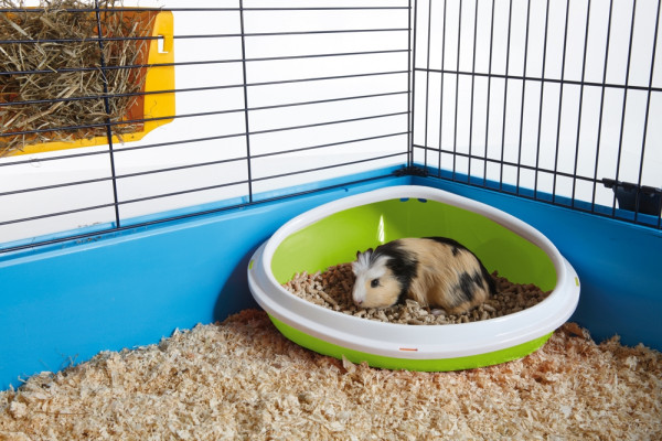 Ecktoilette "Concha"