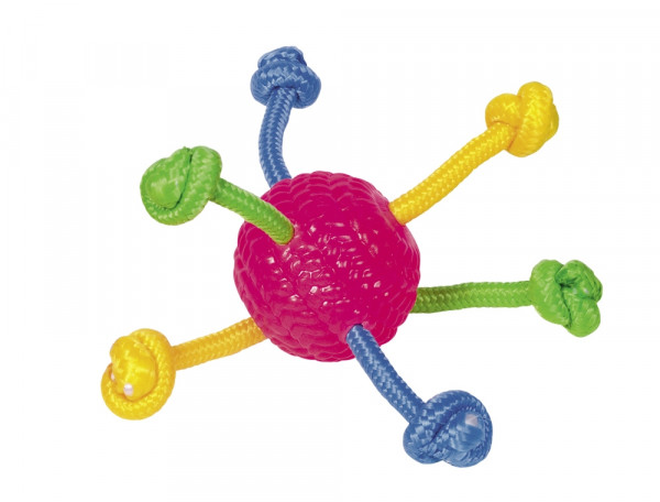 TPR ball with rope toy