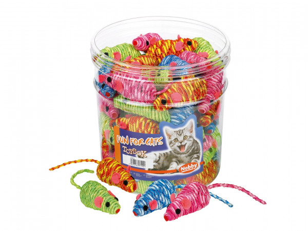 Toy Box Katze