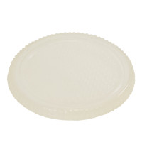 TPR Fly Disc "Glowing"  TPR Fly Disc "Glowing"