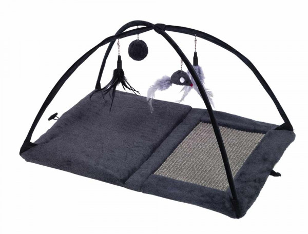 Cat playing court "Arch"