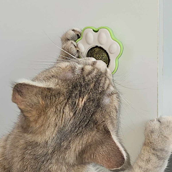 Catnipball "Paw"