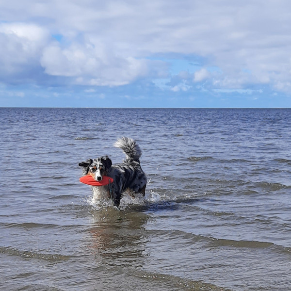 TPR Lifeboard mit Seil