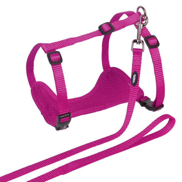 Cat Set "Mesh"