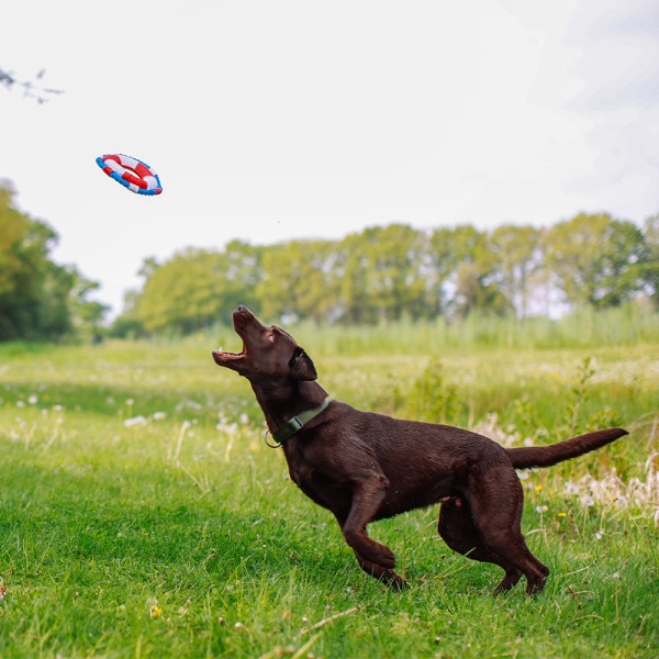 Floating toy with rope