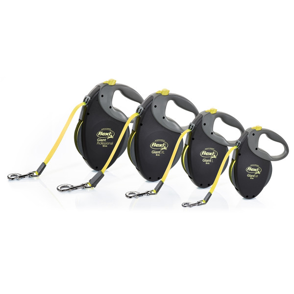 flexi Giant L Professional 10 m