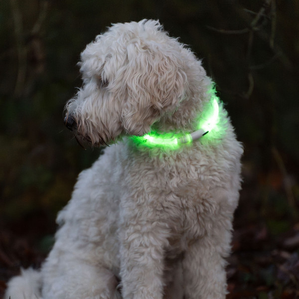 LED light ribbon wide "VISIBLE"