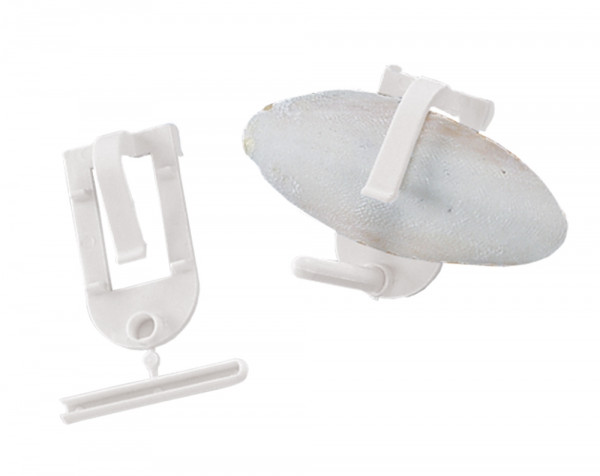 Holder for cuttle fish and cards
