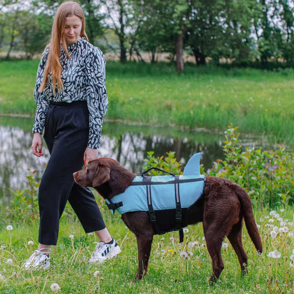 Schwimmhilfe "Sharki"