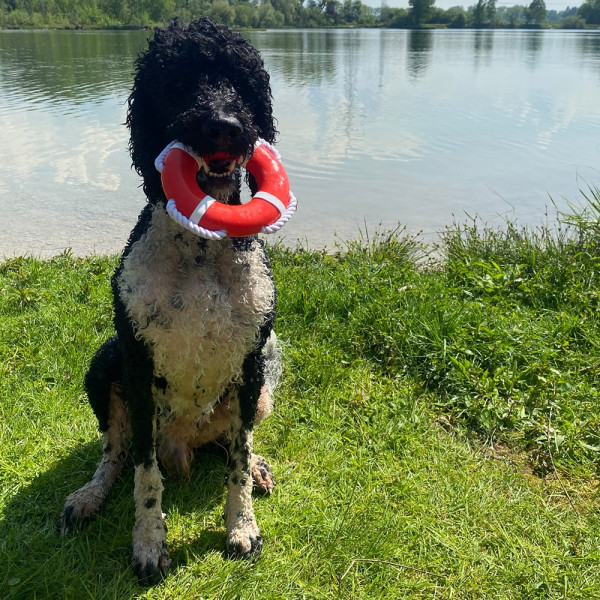 TPR lifebuoy with rope