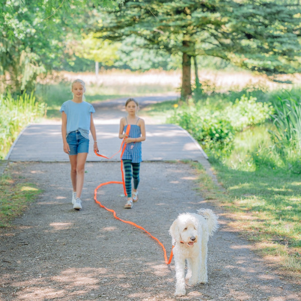 Tracking leash "Cover"
