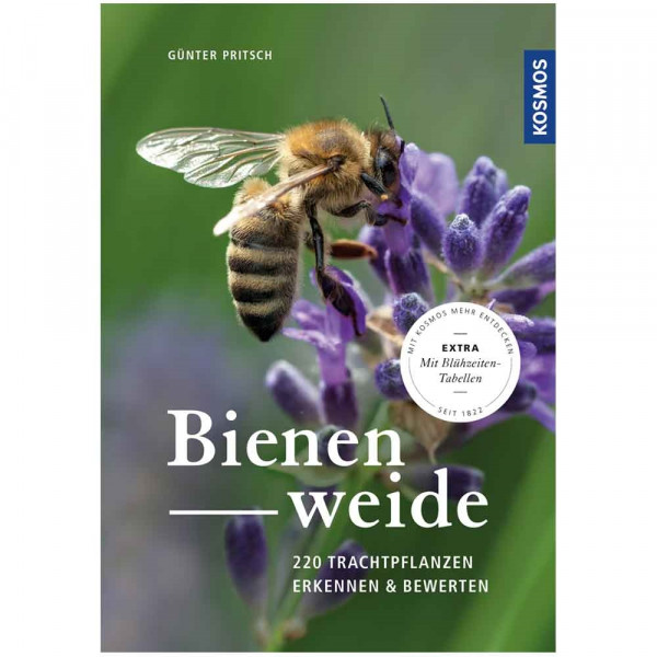Pritsch, Bienenweide