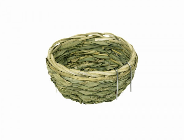 Waldvogelnest