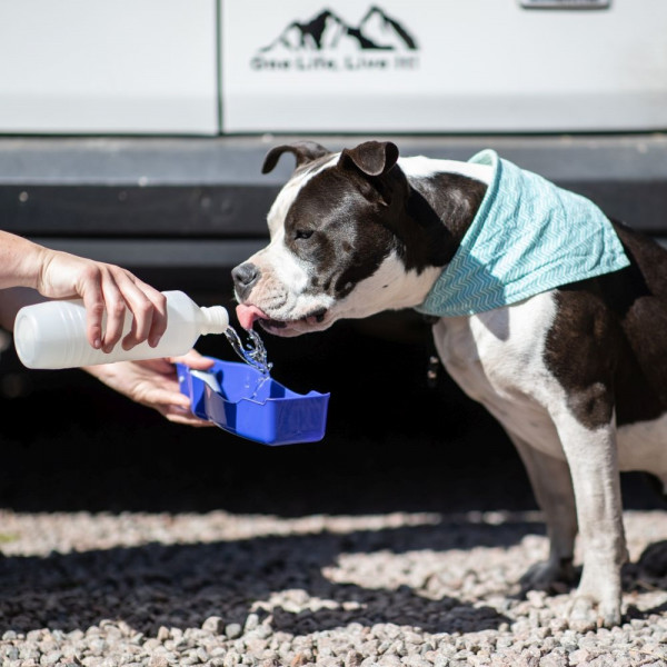 Reise-Trinkwasserflasche
