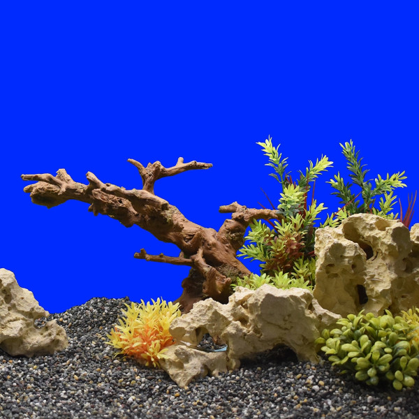 Aqua Ornaments "Root"