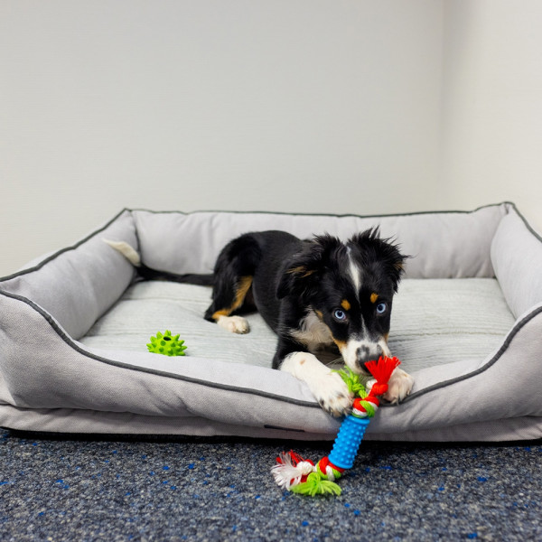 Orthopädisches Bett eckig "LAGO"